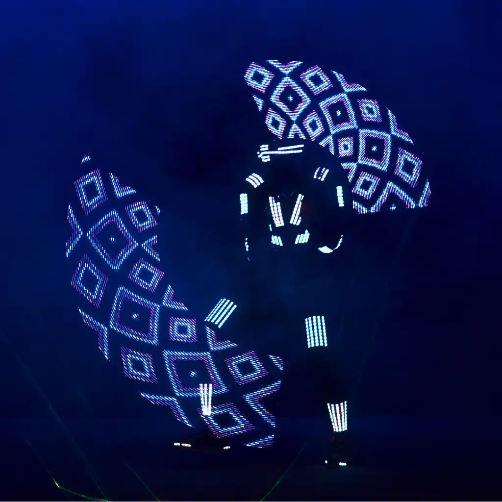 LED Light Dancers Show - Image 2