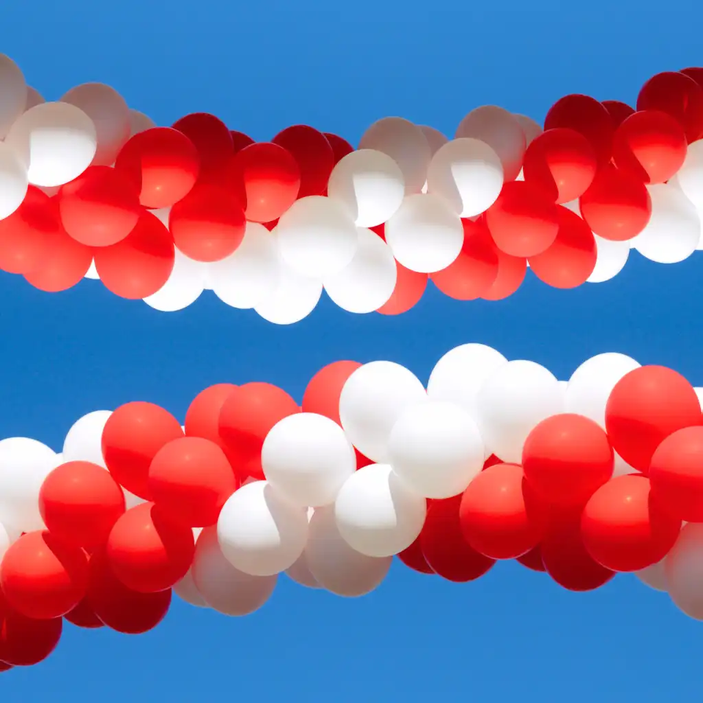 Standard Balloon Arch Setup - Image 3