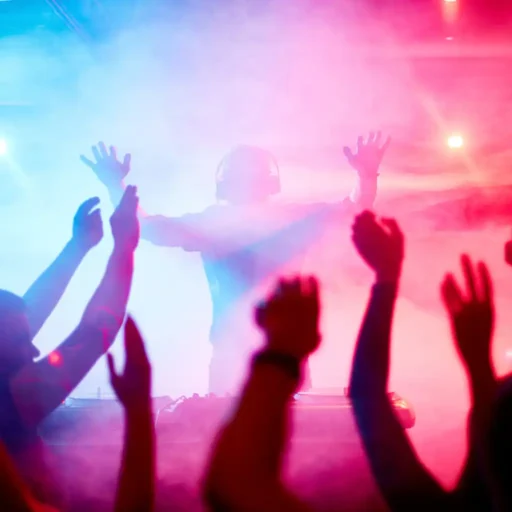 Professional DJ (4 Hours)